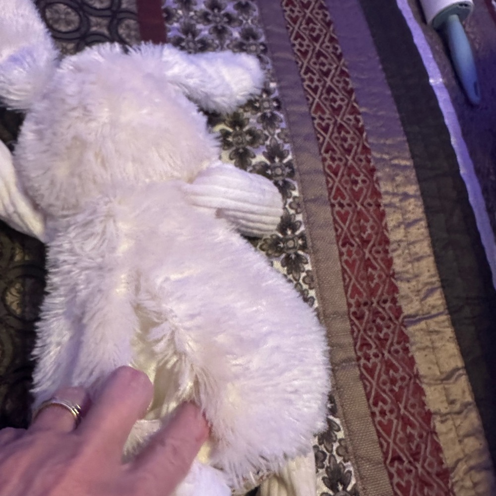 Scentsy Buddy’s Penny the Pig & Rosemary the Rabbit - Picture 8 of 11